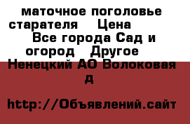 маточное поголовье старателя  › Цена ­ 3 700 - Все города Сад и огород » Другое   . Ненецкий АО,Волоковая д.